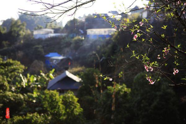 小兔子大冒险