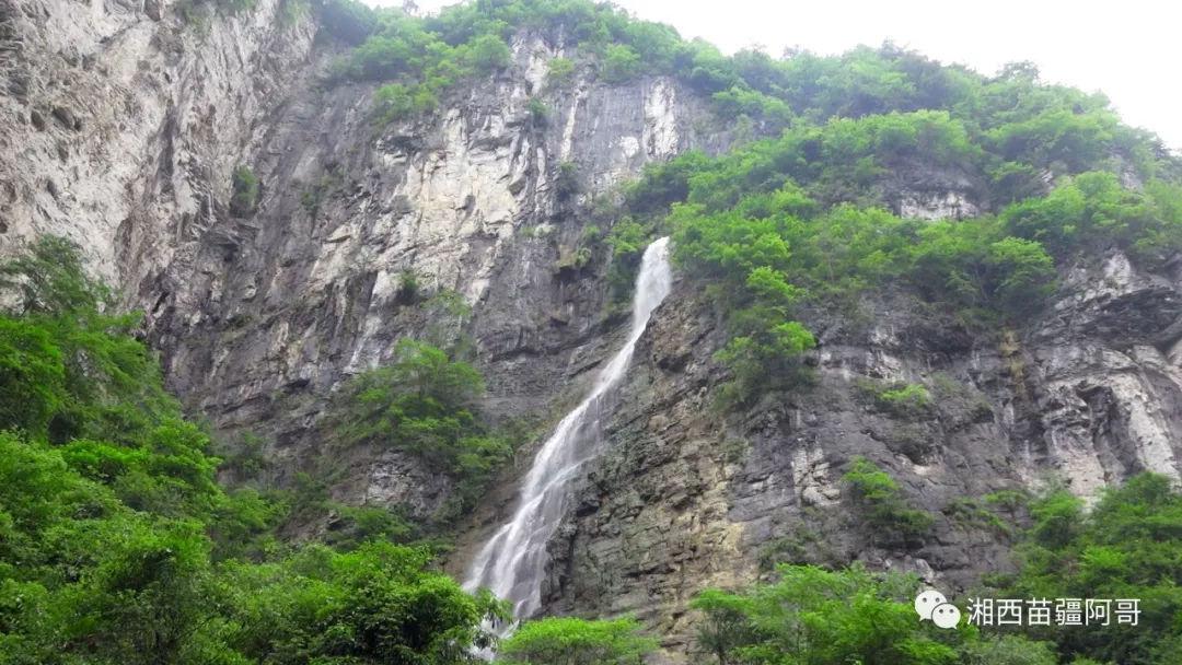 山东男篮“三分雨”降服龙狮,高诗岩生日之夜收赢球大礼